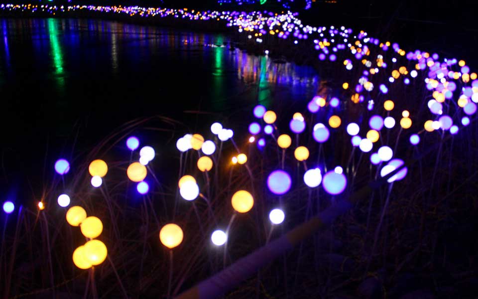 led holiday decoration for park